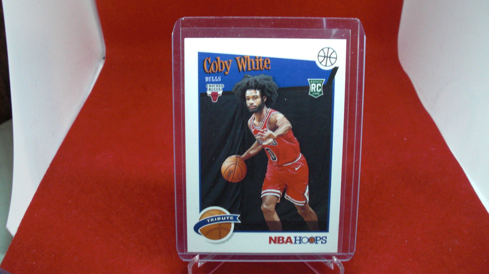 coby white rookie (1 of 1)
