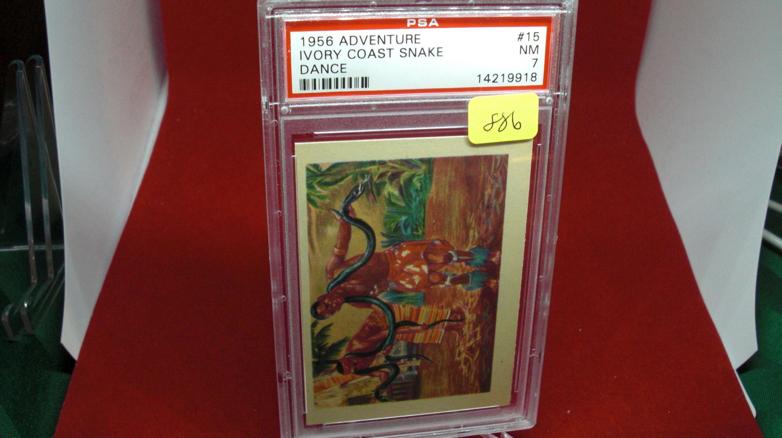 psa graded 1956 gum adventure mint7: nice graded card