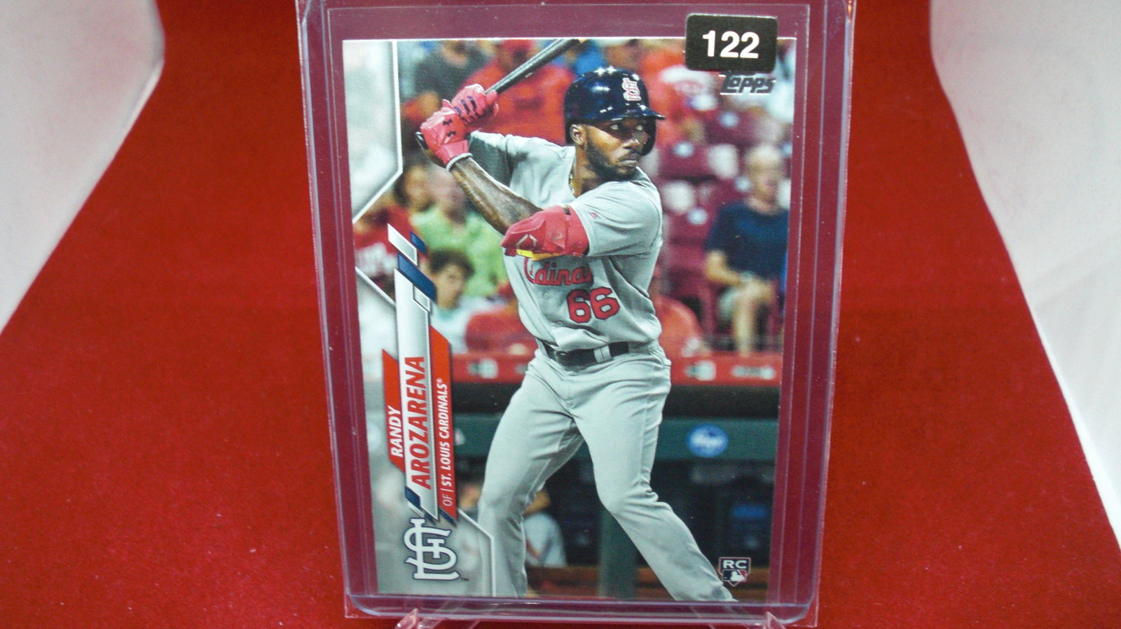 randy arozarena rookie: in top loader