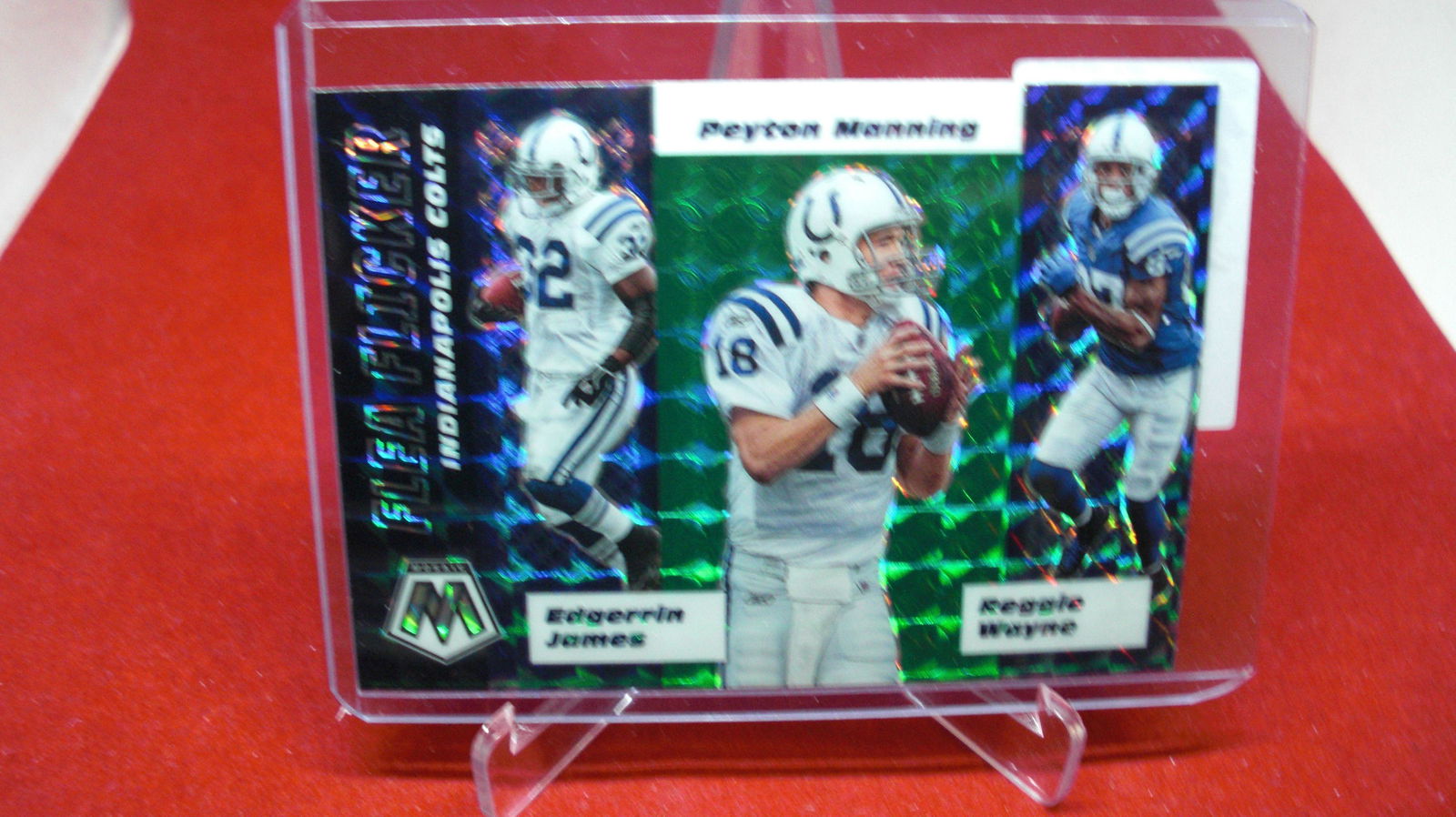 manning,wane,james mosaic flea flicker (1 of 1)