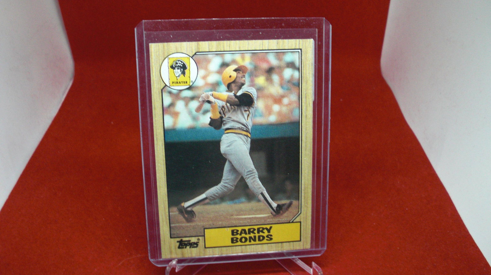 barry bonds: in top loader