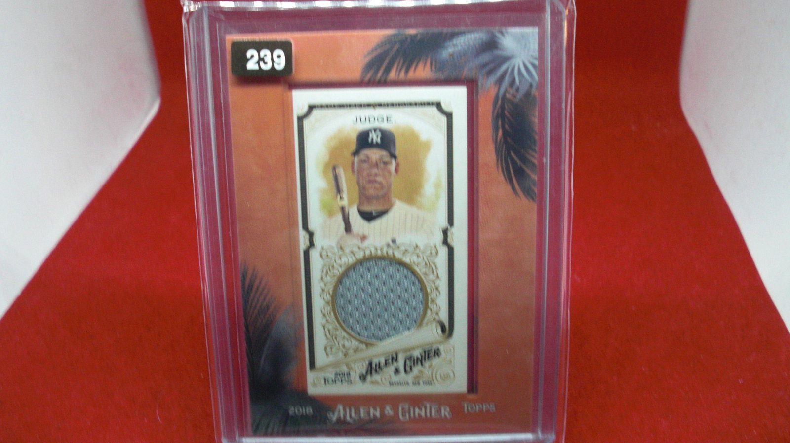 aaron judge jersey: in top loader