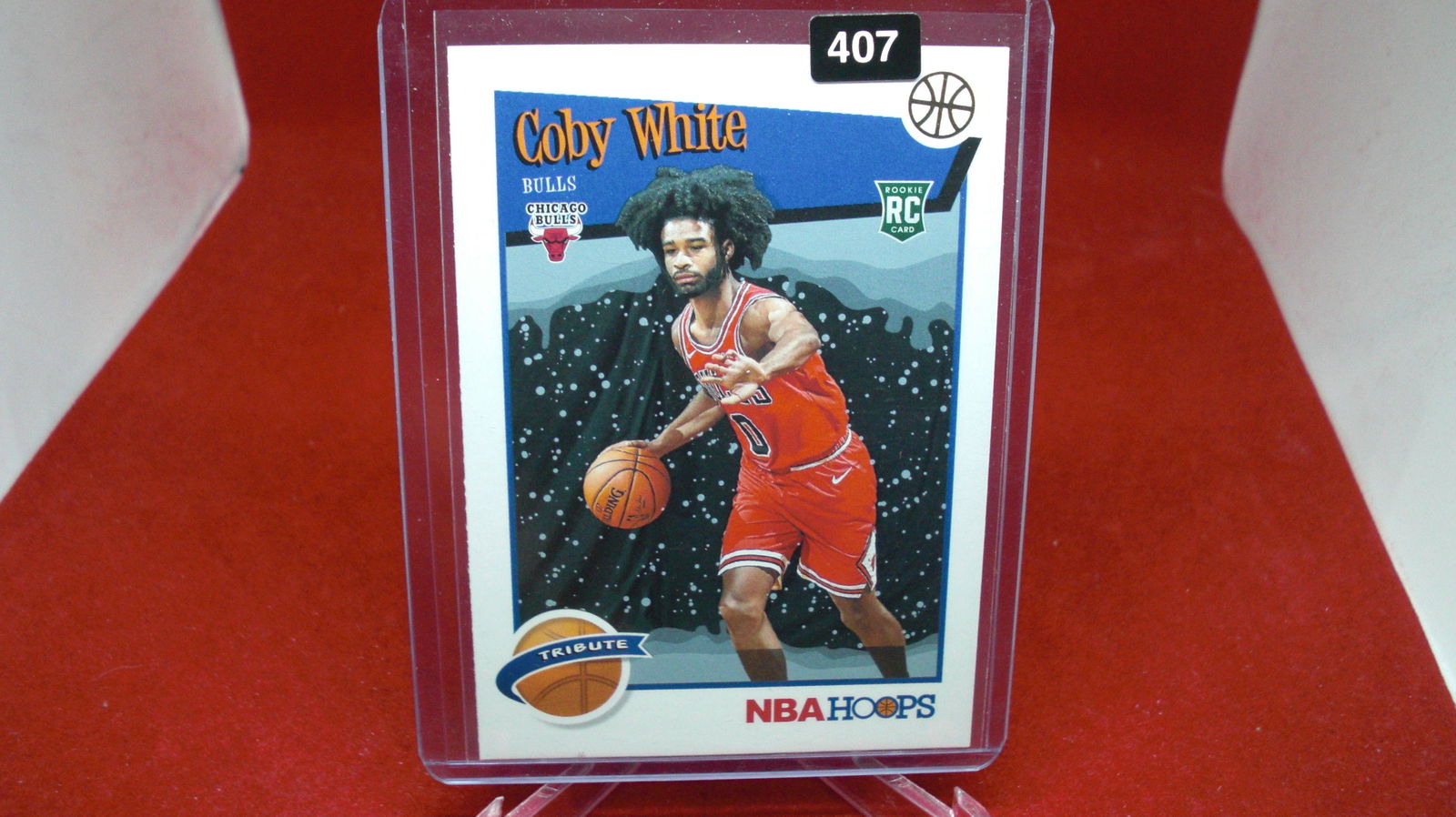 coby white rookie (1 of 1)