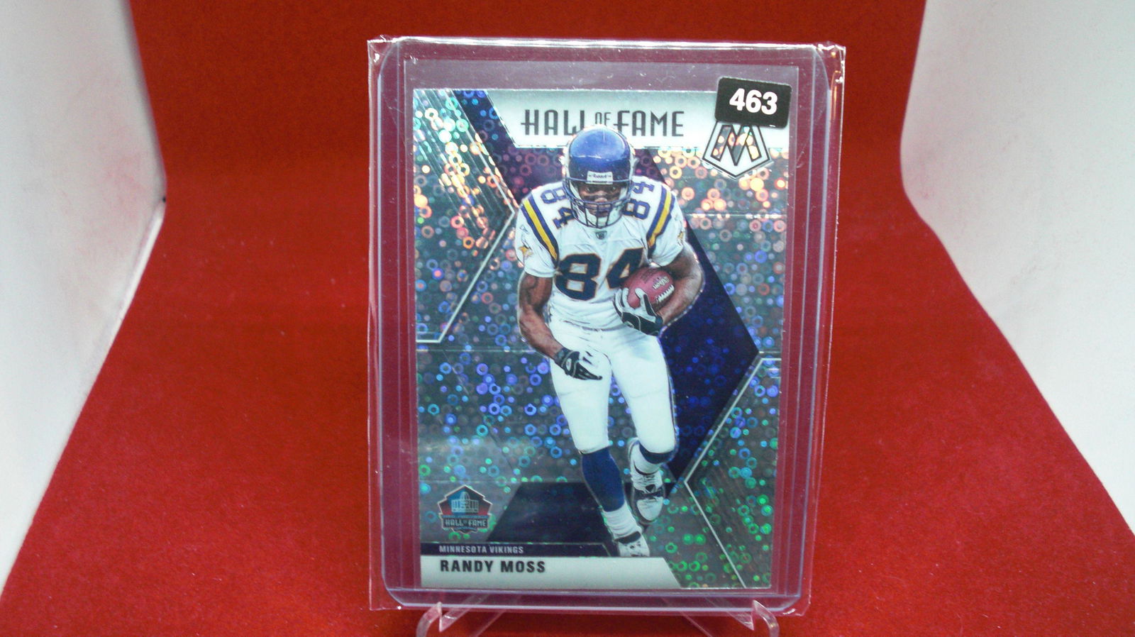randy moss hall of fame mosaic shiney (1 of 1)