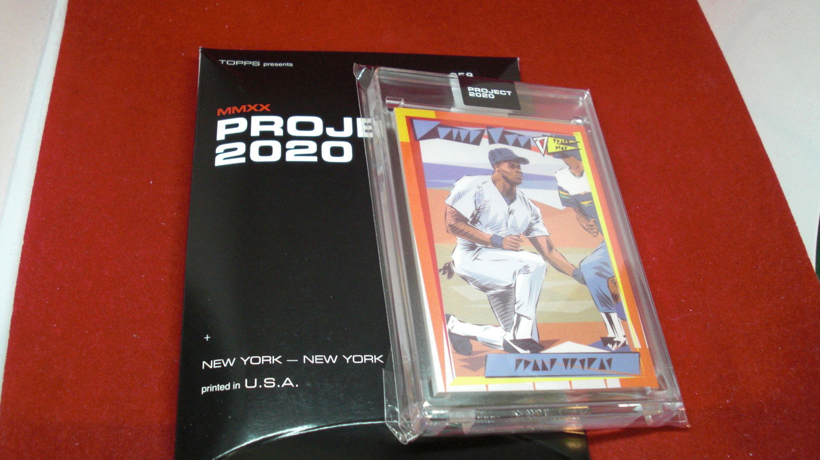 project 2020 frank thomas (1 of 1)