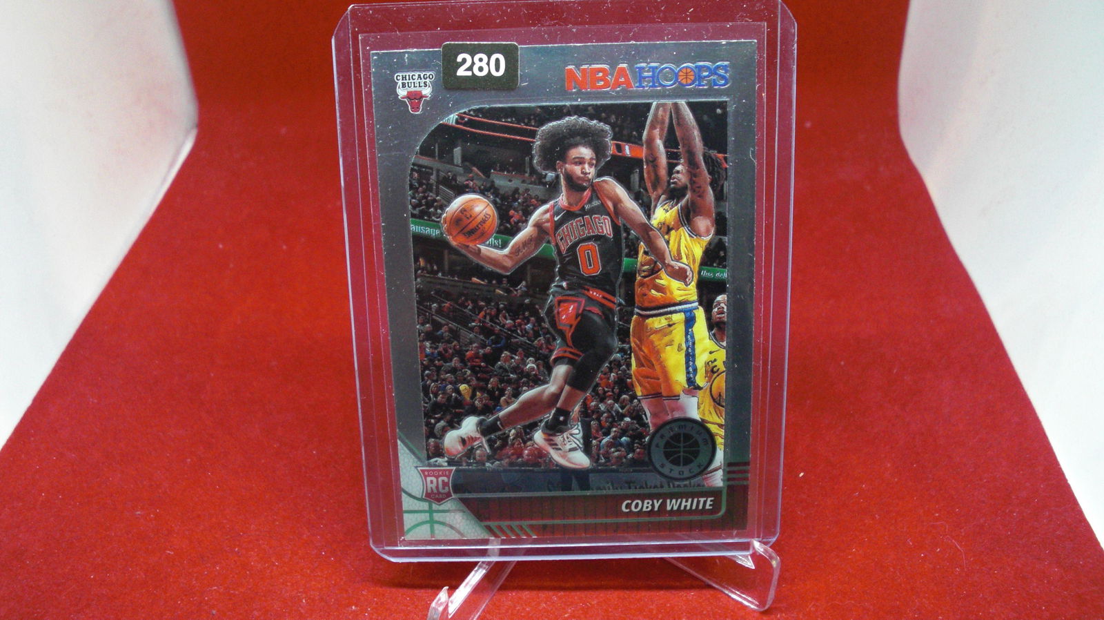 coby white rookie (1 of 1)