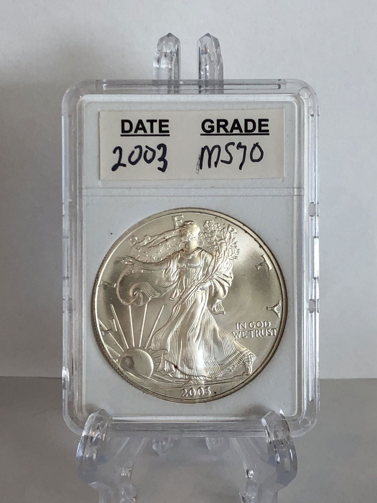 2003 Silver Eagle Dollar in Mint State (1 of 1)