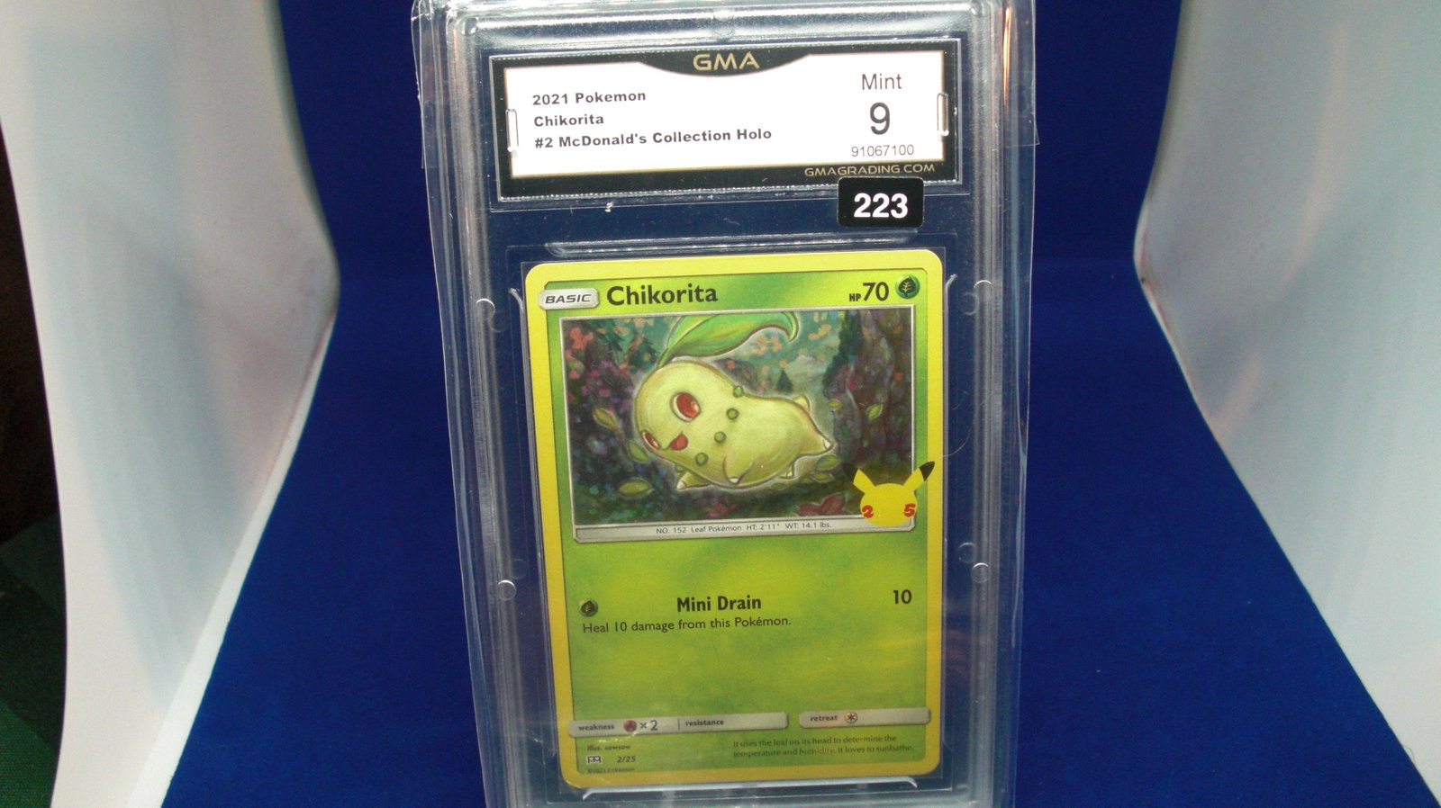gma graded 2021 pokemon chikorita mint 9: nice graded card