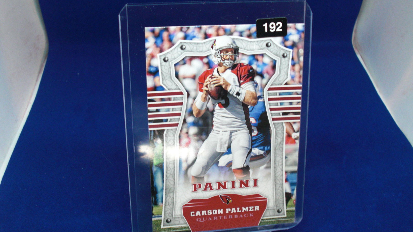 carson palmer panini (1 of 1)