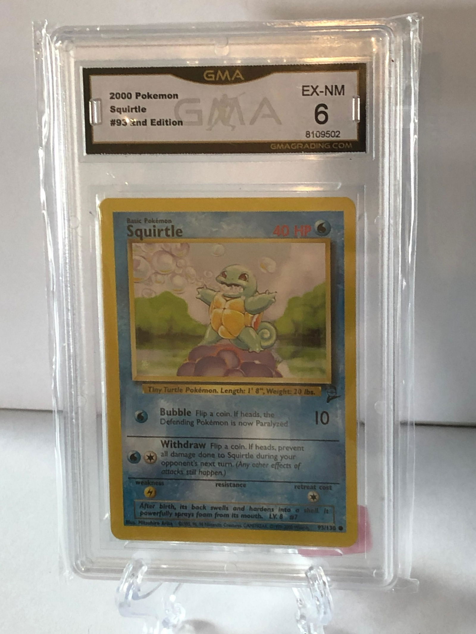 2000 Squirtle GMA 6 (1 of 1)