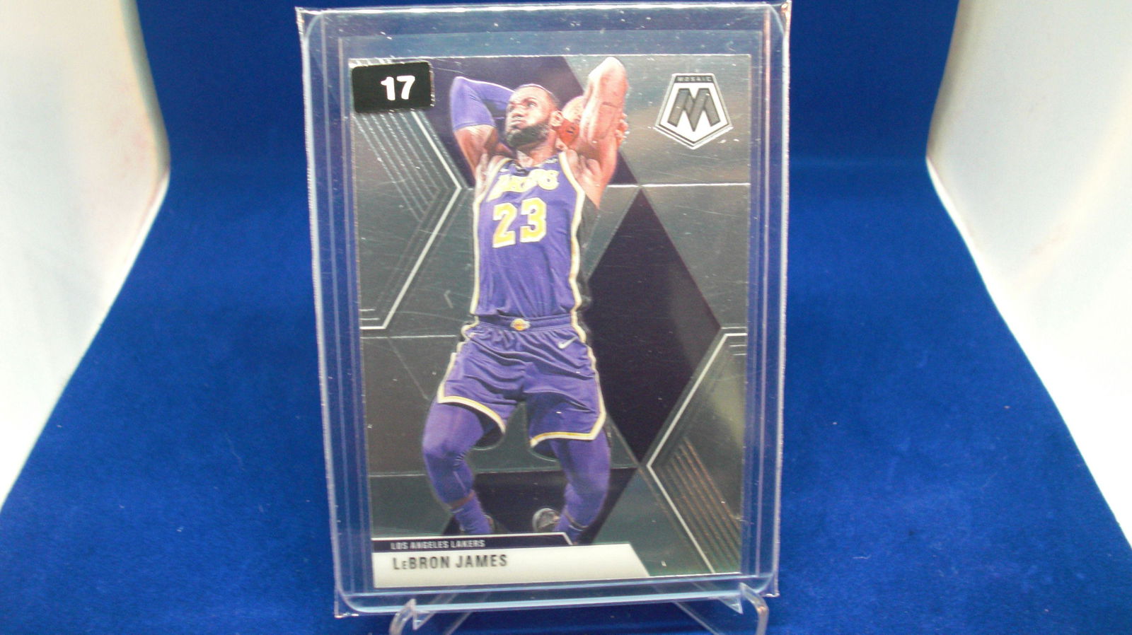 lebron james mosaic (1 of 1)