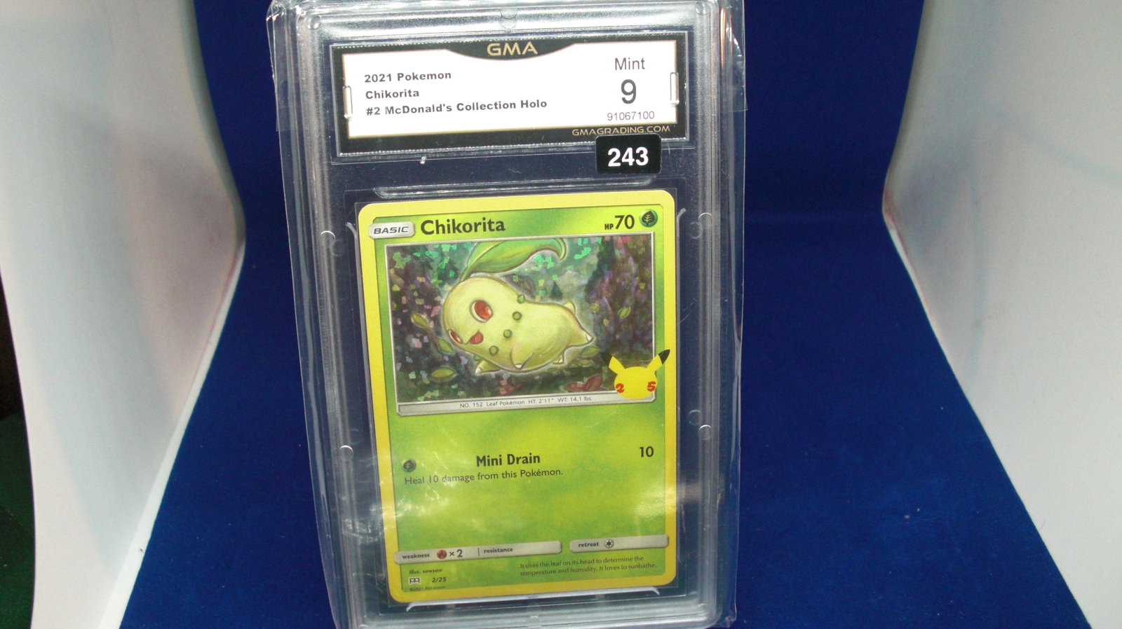 gma graded 2021 pokemon chikorita mint 9: nice graded card