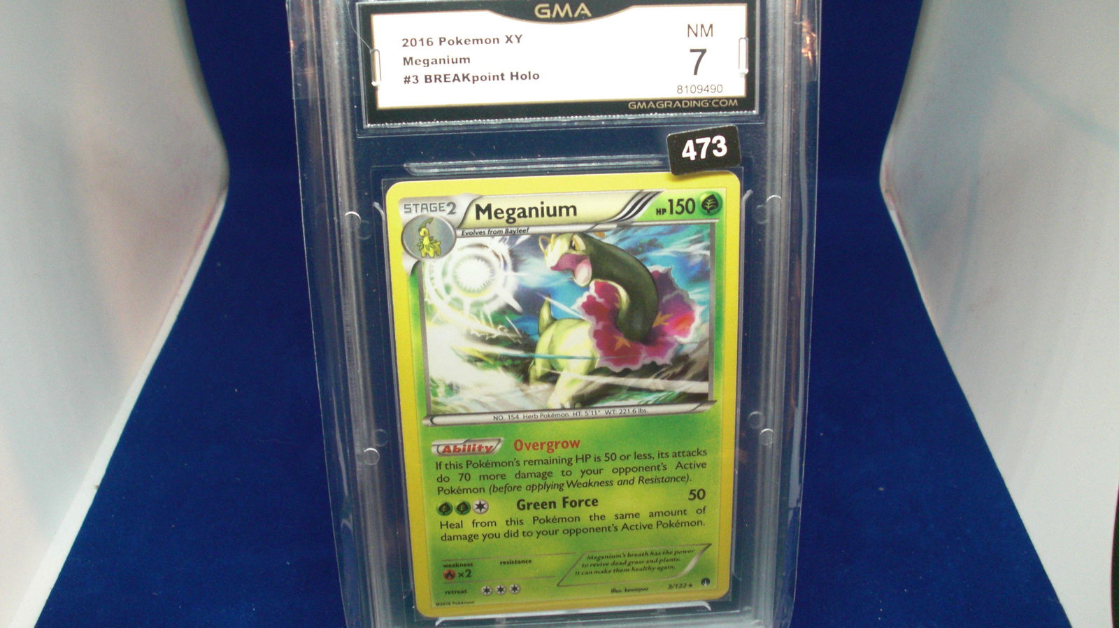 gma graded 2016 pokemon xy meganium mint 7 (1 of 1)
