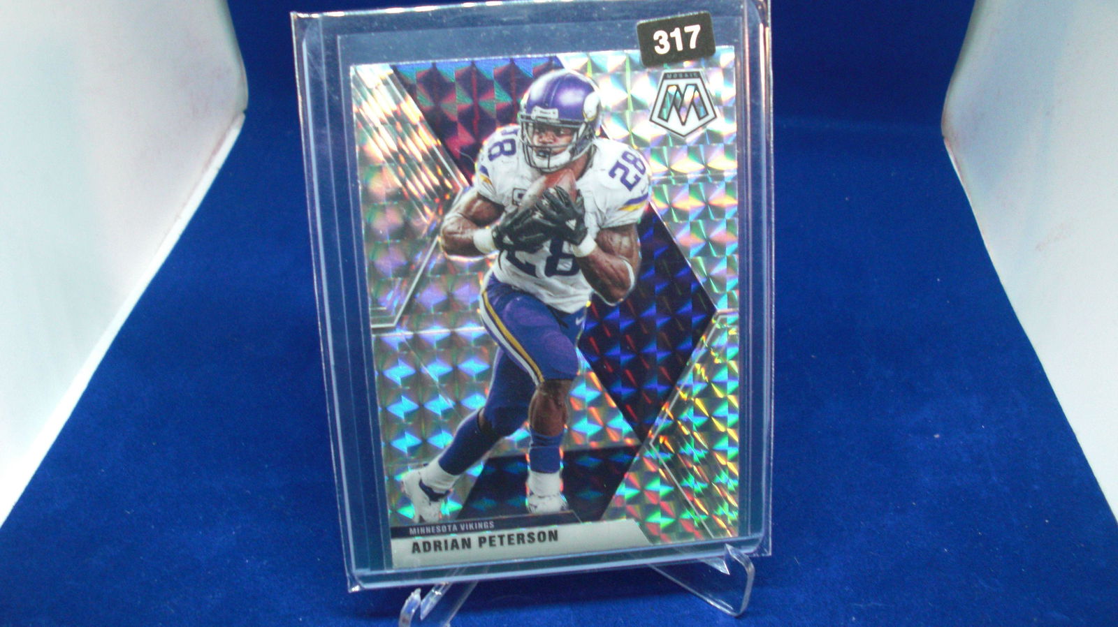 adrian peterson mosaic (1 of 1)