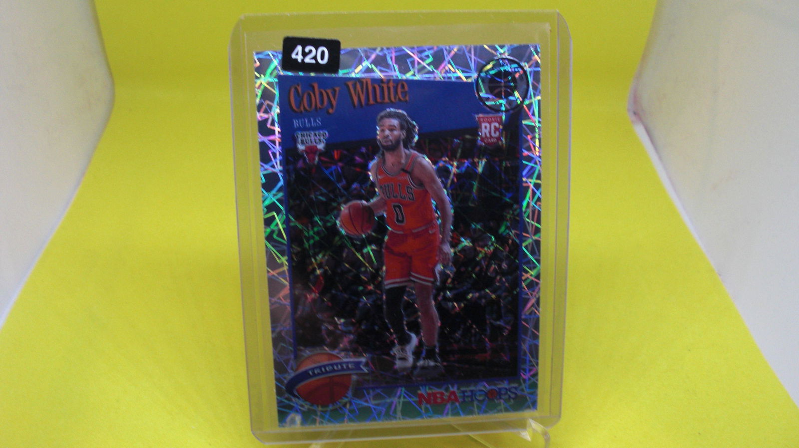 coby white rookie (1 of 1)