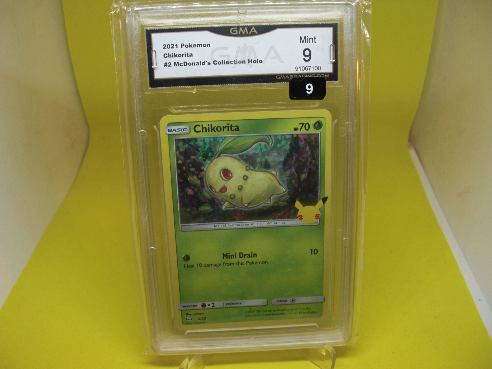 gma graded 2021 pokemon chikorita mint 9: nice graded card