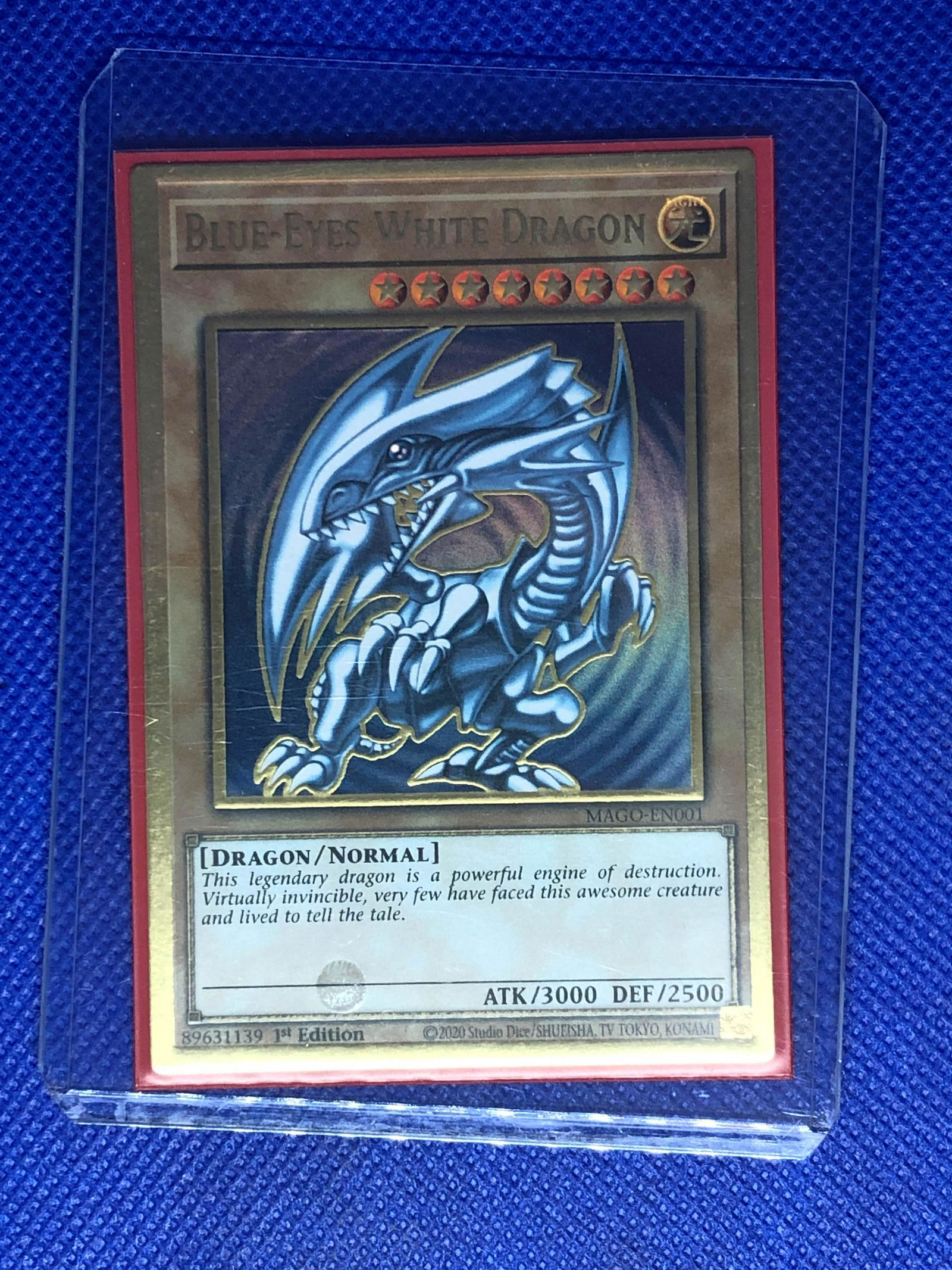 Blue Eyes White Dragon Holo 1st Edition Gold Yugioh (1 of 1)