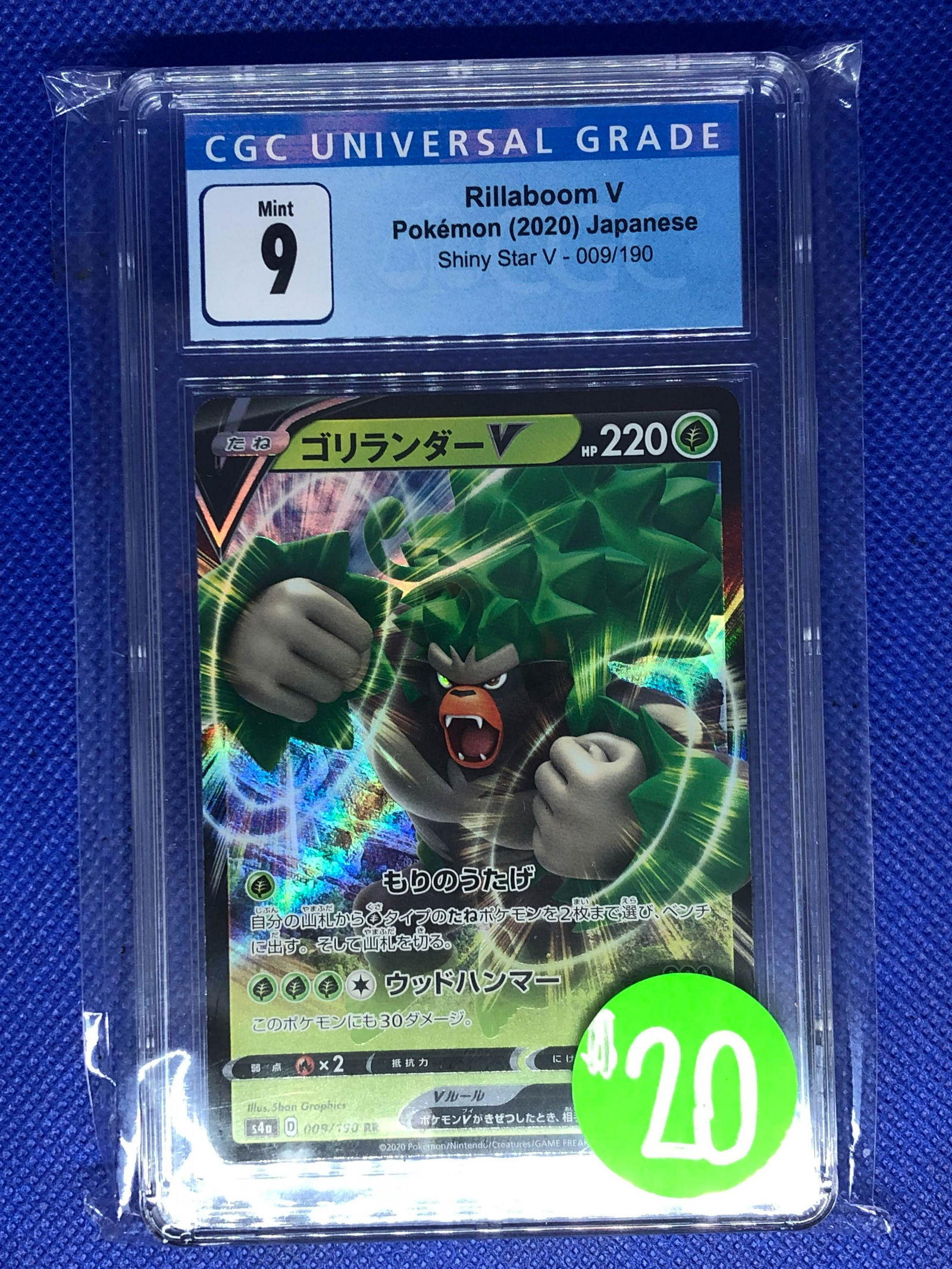 Rillaboom V CGC 9 (1 of 1)