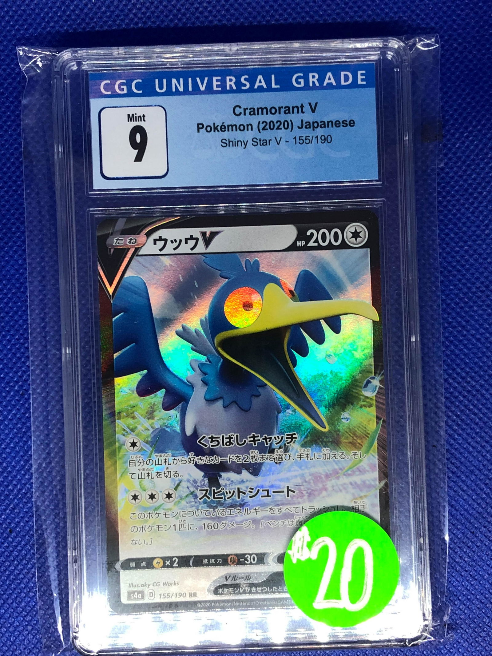 Cramorant V CGC 9 (1 of 1)