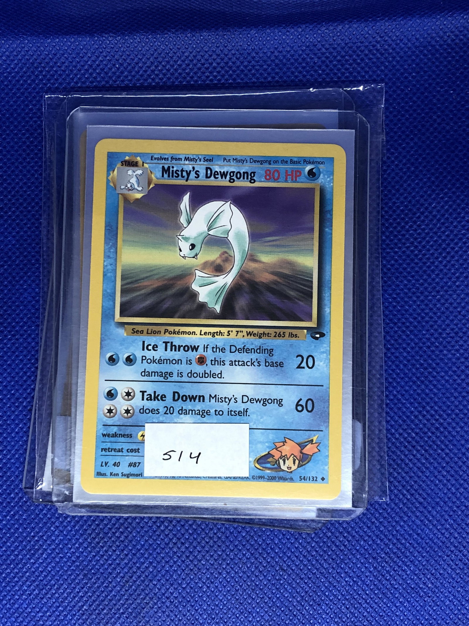 Mistys Dewgong Pokemon Card: Pokemon Card