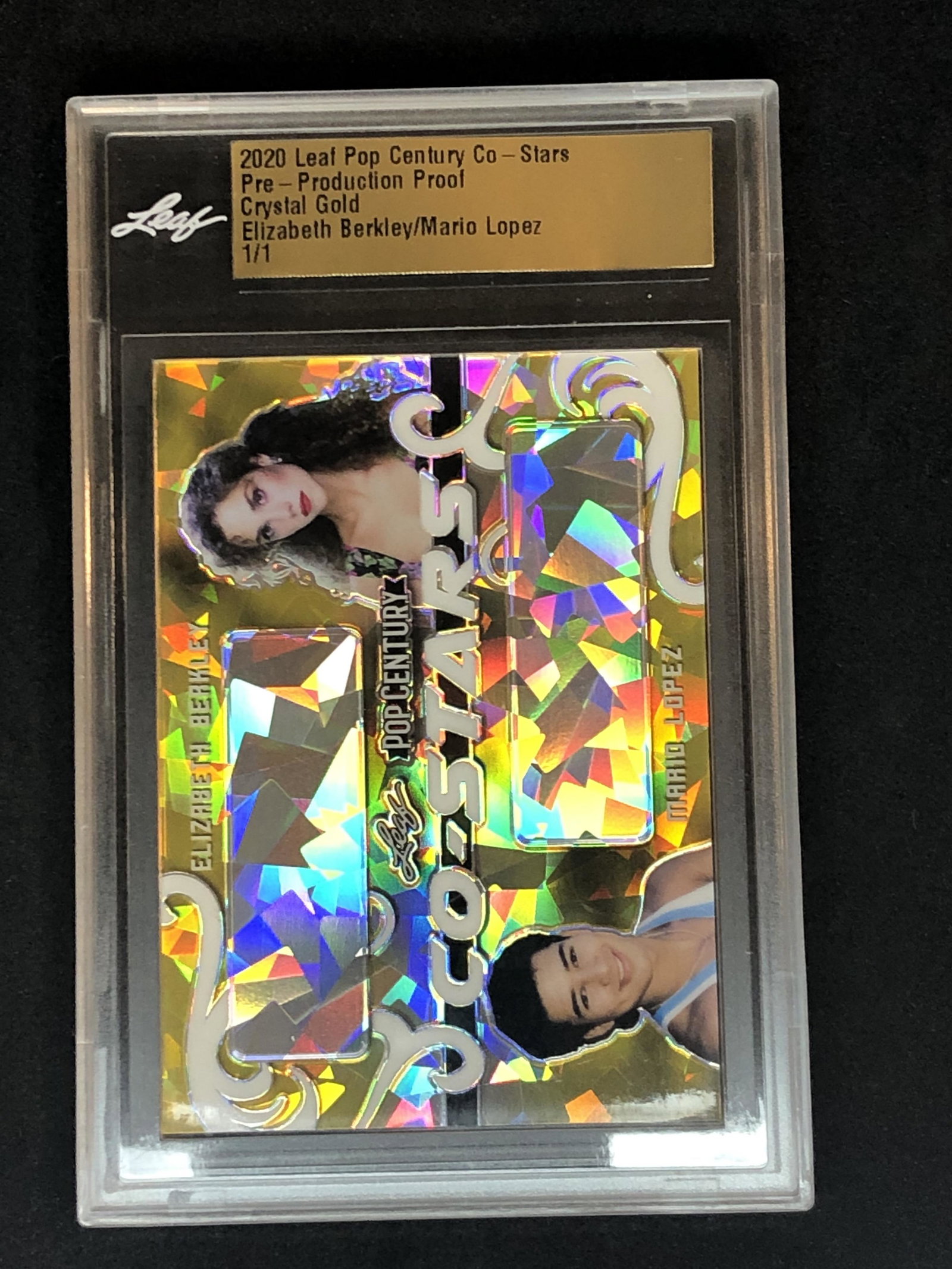 Mario Lopez Leaf PreProduction 1/1 (1 of 1)