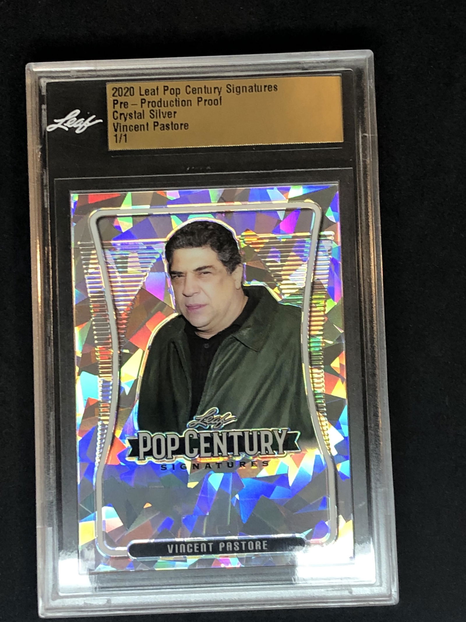 Vicncent Pastore Leaf PreProduction 1/1 (1 of 1)