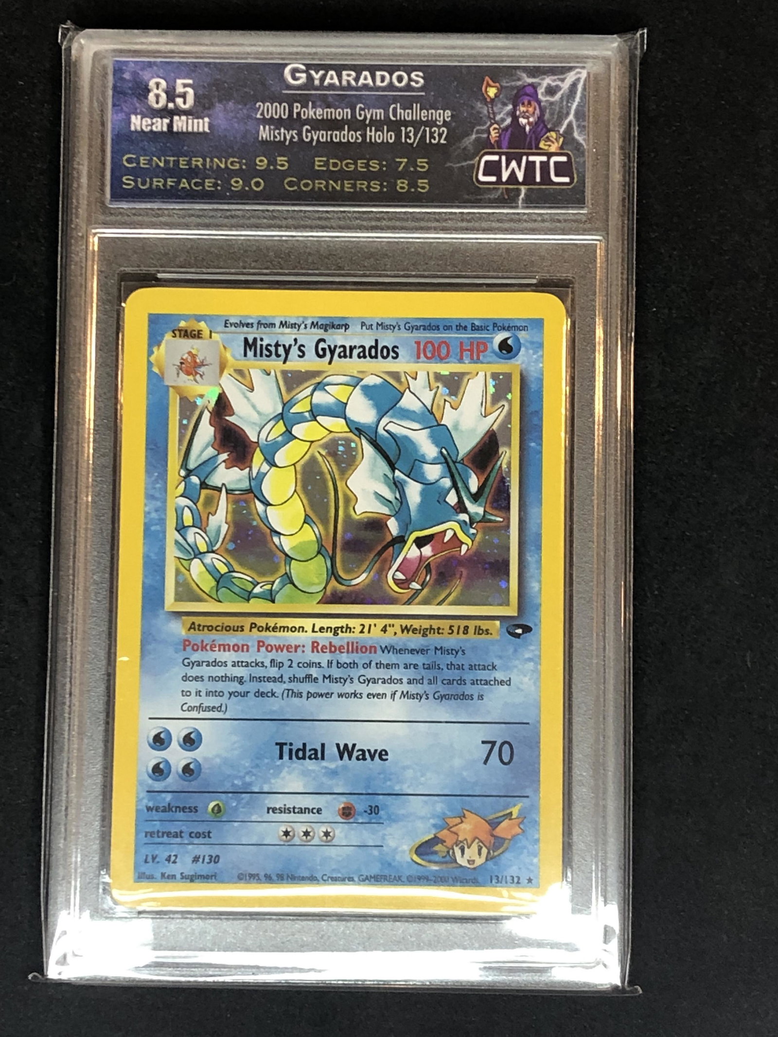 Misty's Gyarados Gym Challenge CWTC 8.5 (1 of 1)