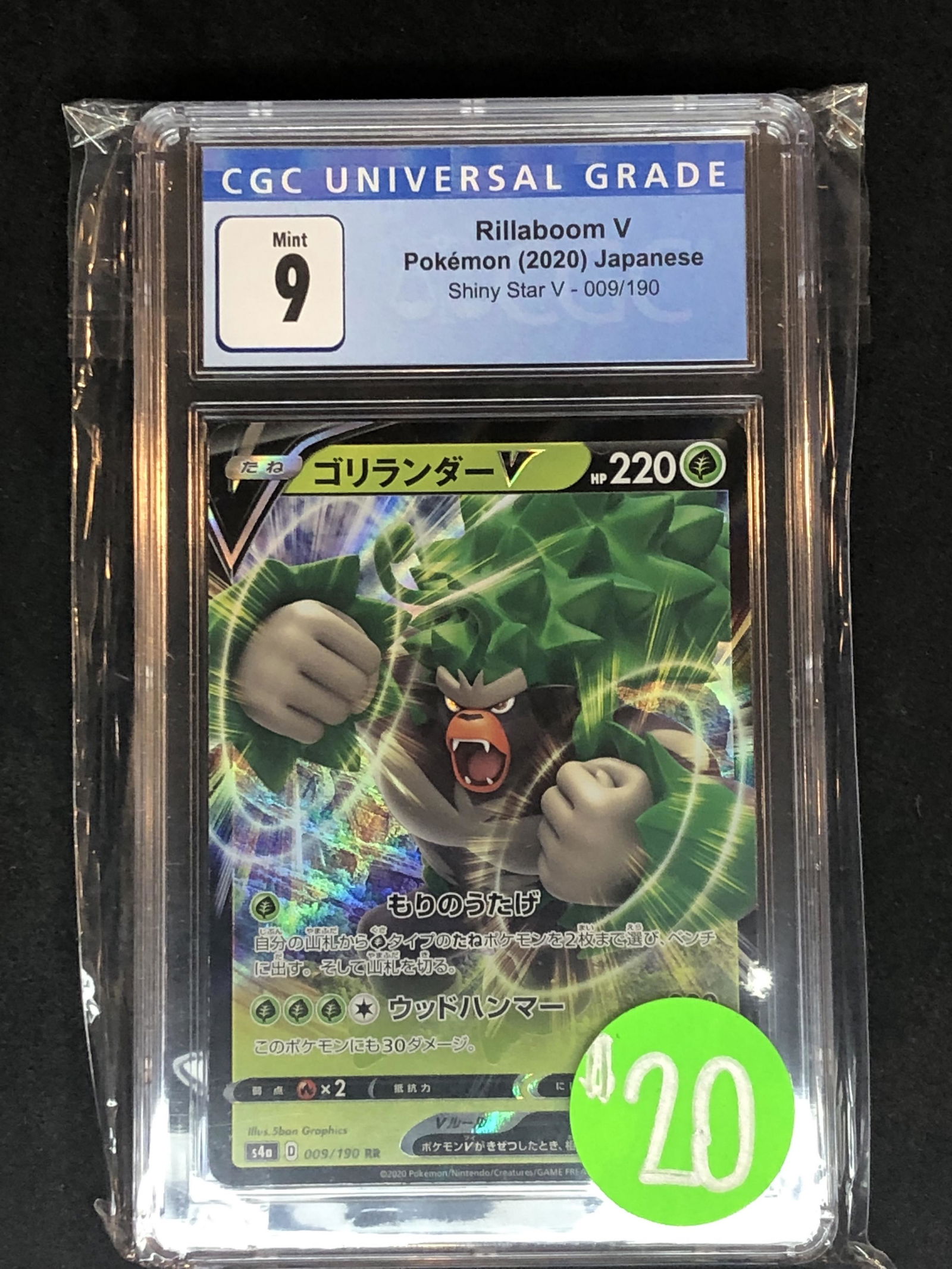 Rillaboom V CGC 9 (1 of 1)