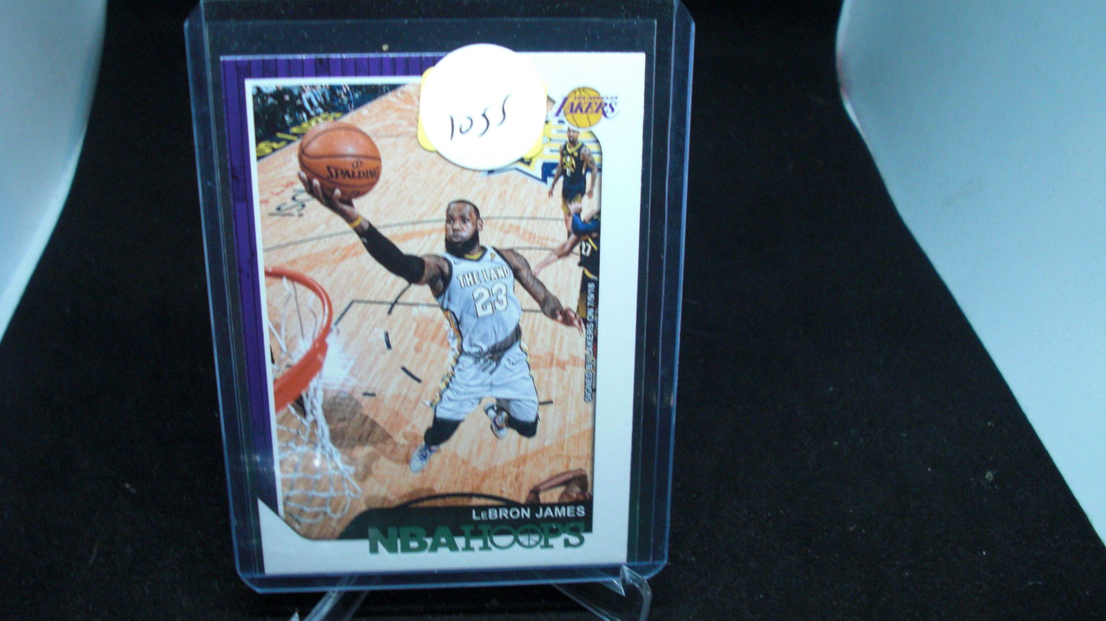 LeBron James NBA hoops (1 of 1)