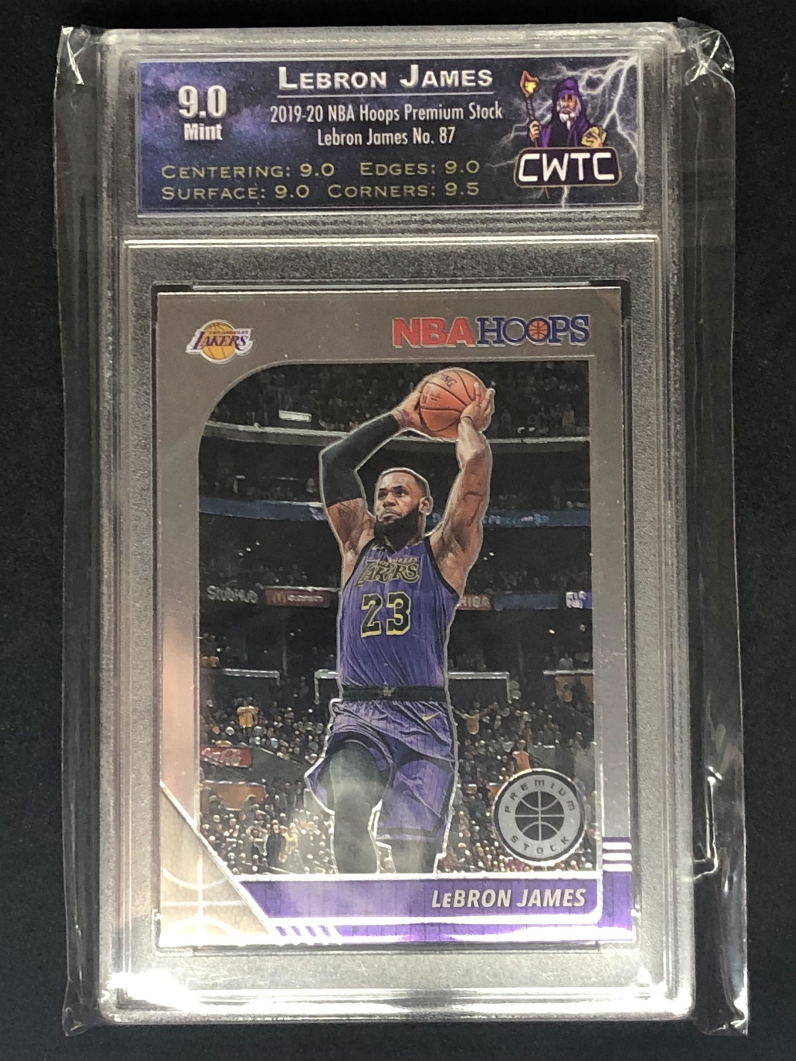 Lebron James NBA Hoops CWTC 9 (1 of 1)