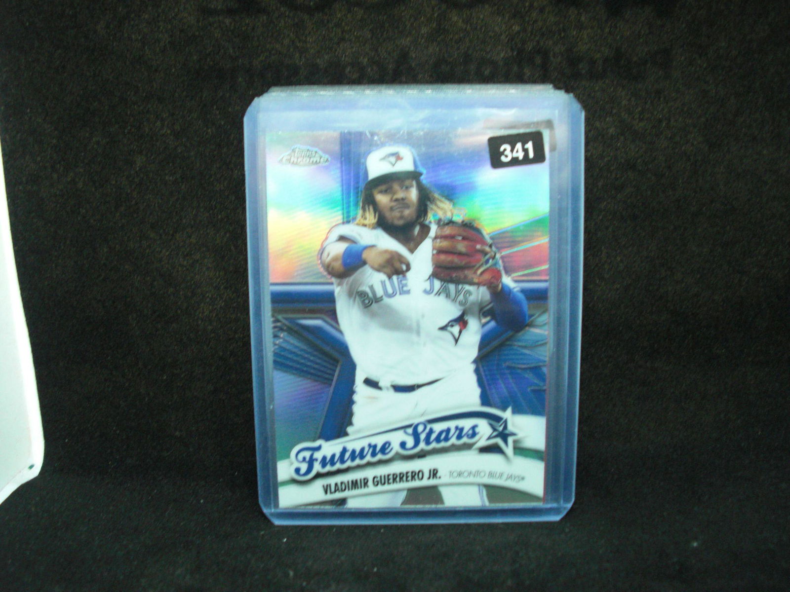 vladimir Guerrero junior future stars (1 of 1)