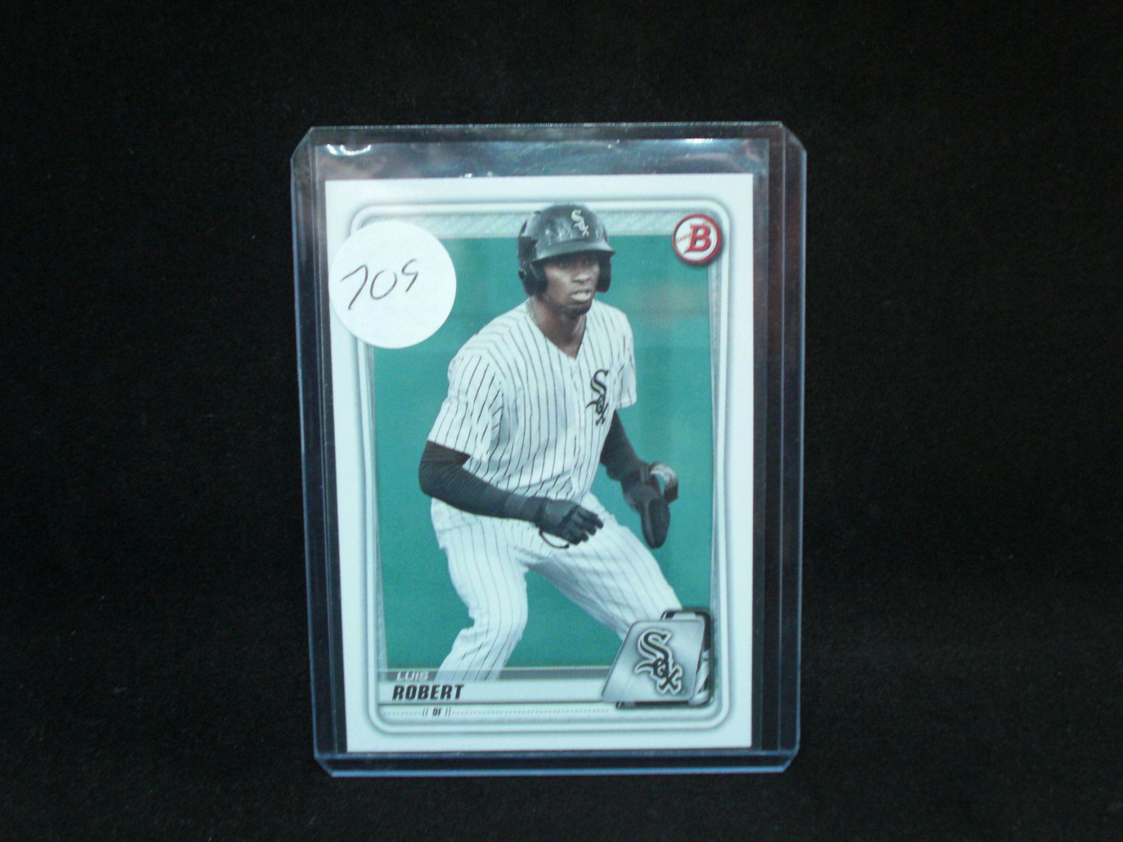 luis Robert Bowman (1 of 1)