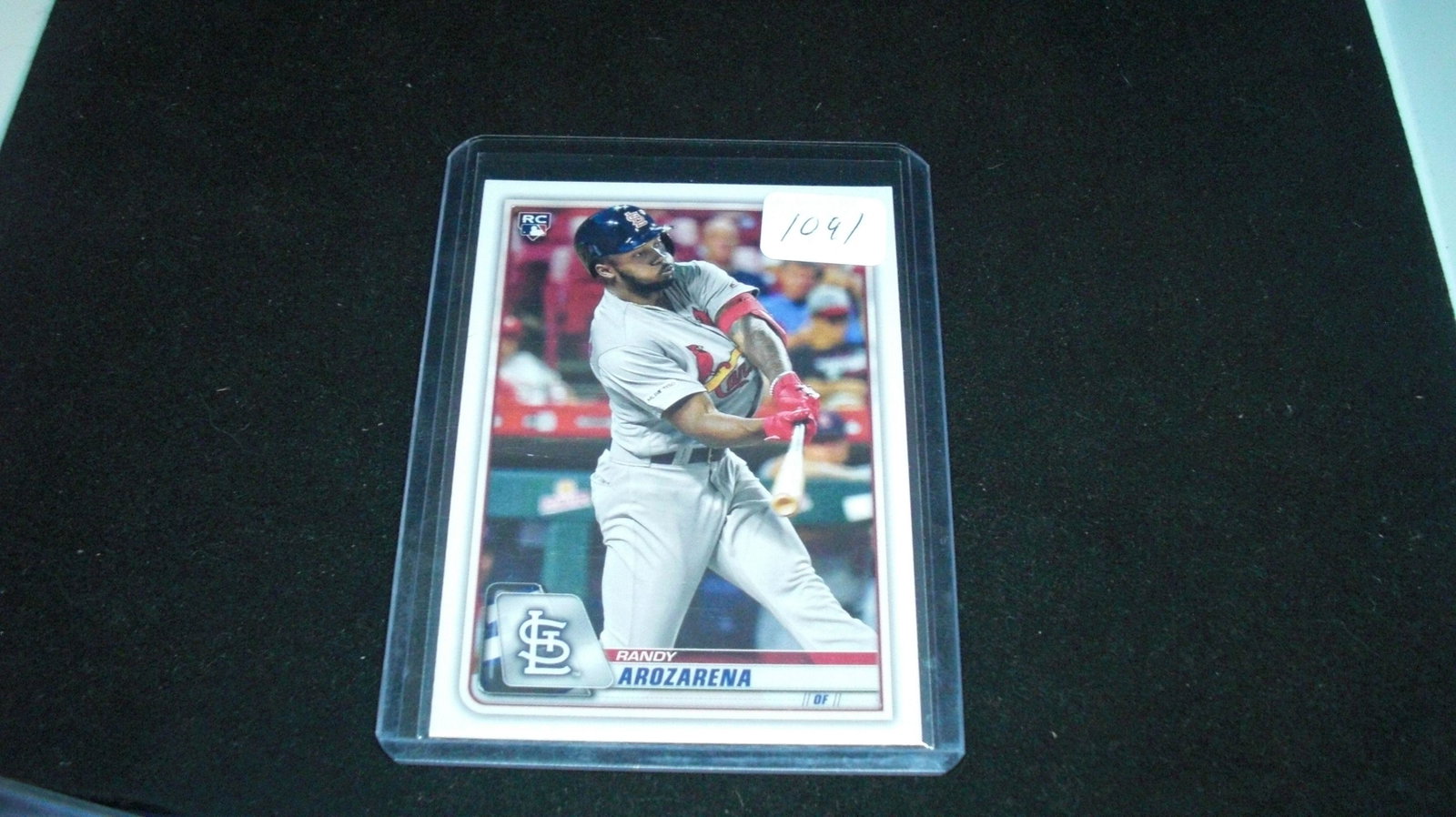 randy arozarena rookie card: in top loader