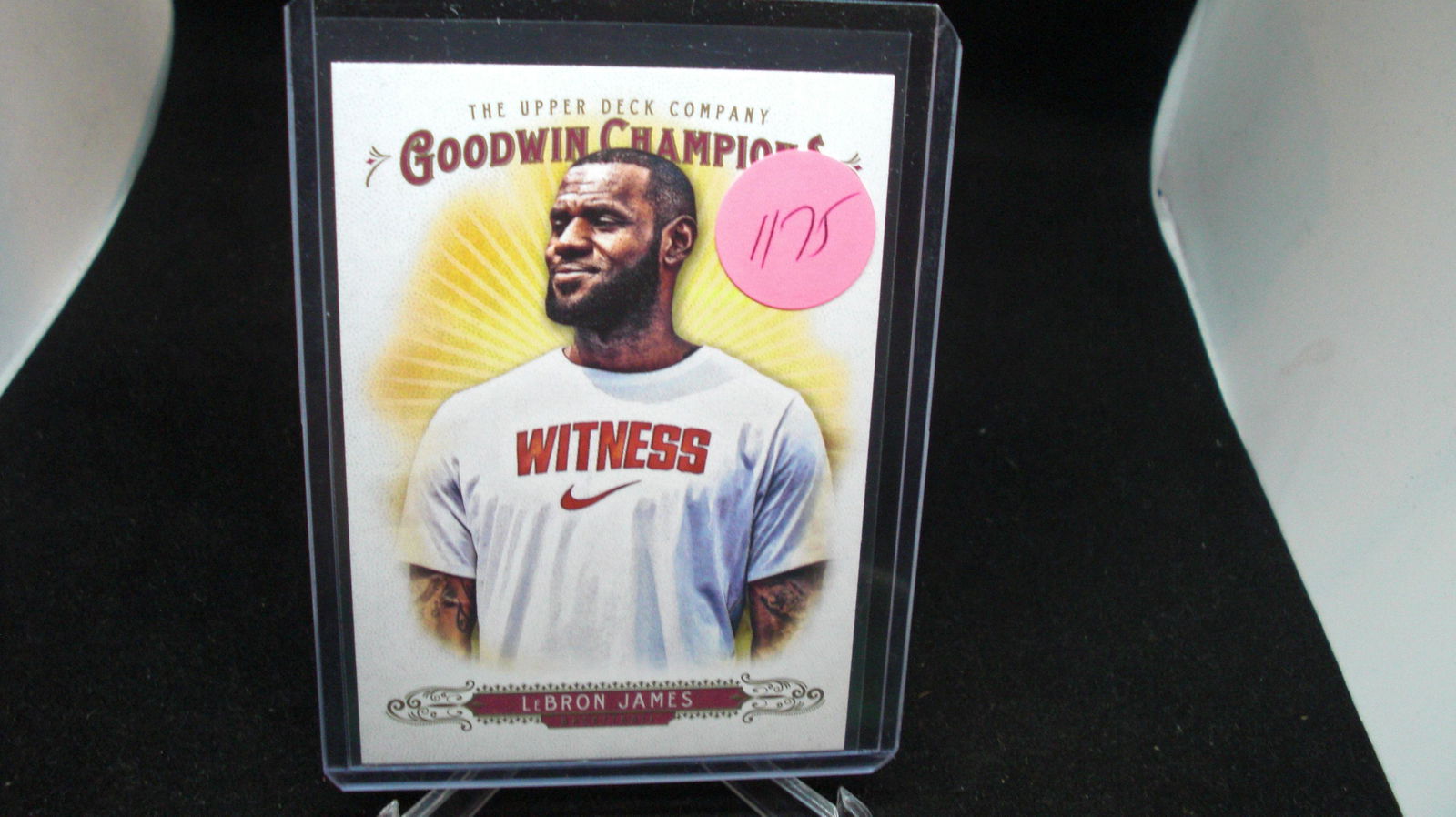 lebron james goodwin champions (1 of 1)
