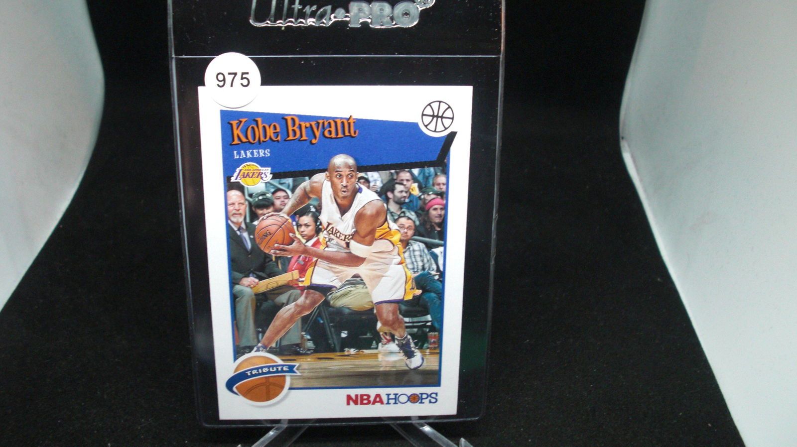 KOBE BRYANT HOOPS TRIBUTE (1 of 1)