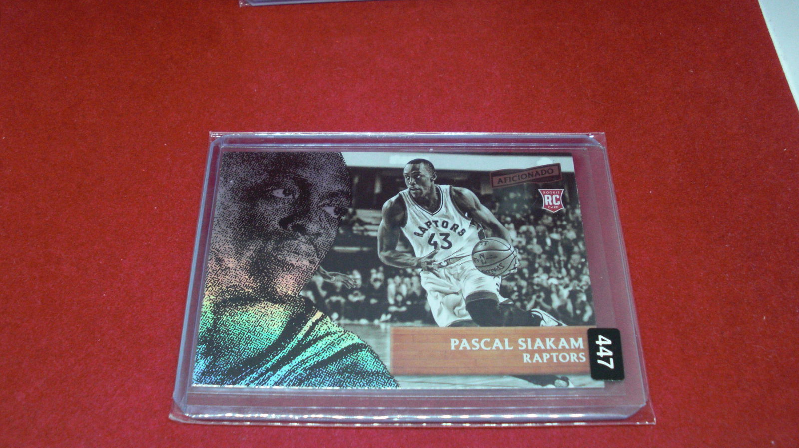pascal siakam raptors rookie (1 of 1)