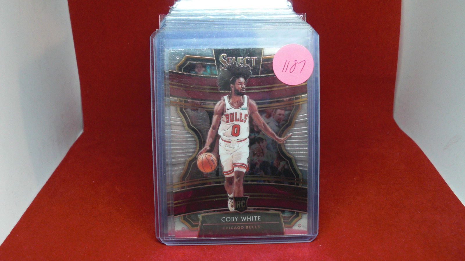 coby white 2019-20 select rookie (1 of 1)