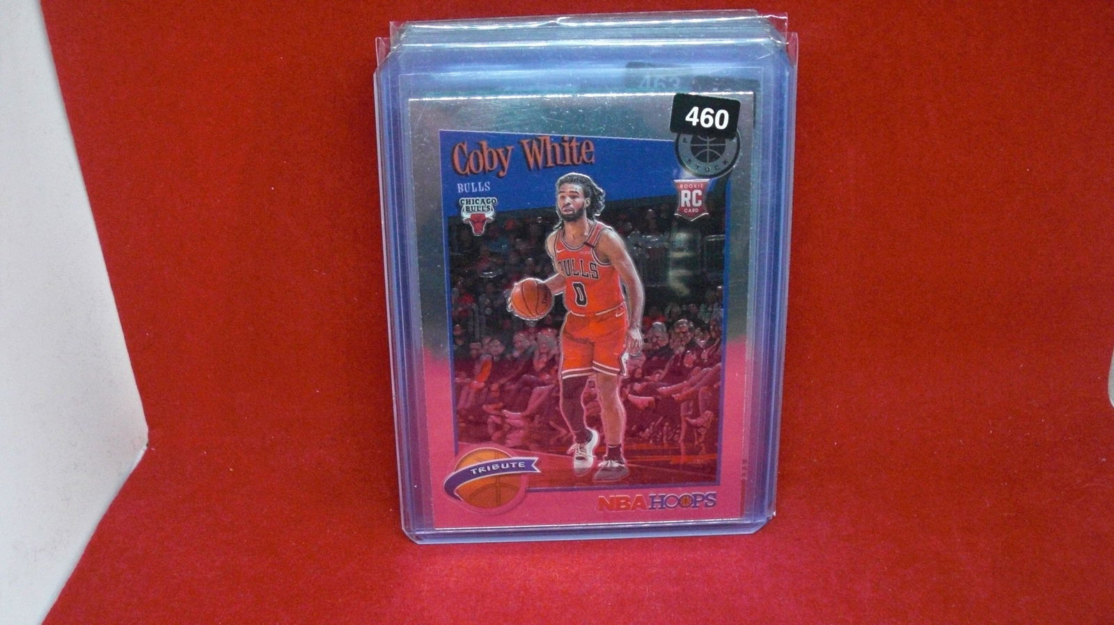 coby white hoops tribute rookie (1 of 1)
