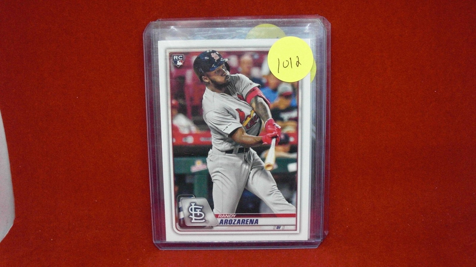 randy arozarena rookie card: in top loader