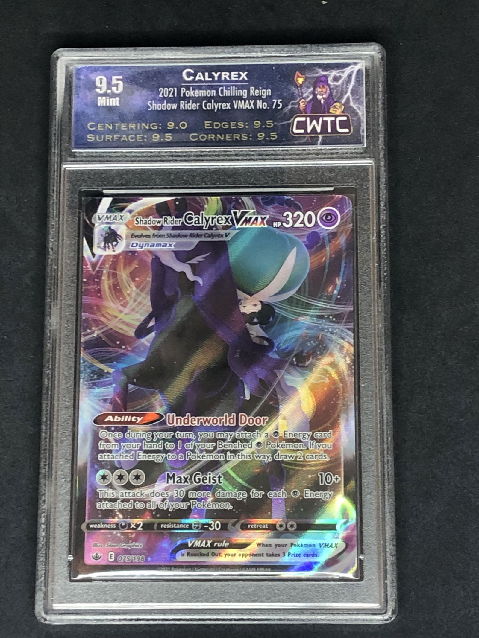 Shadow Rider Calyrex CWTC 9.5 (1 of 1)