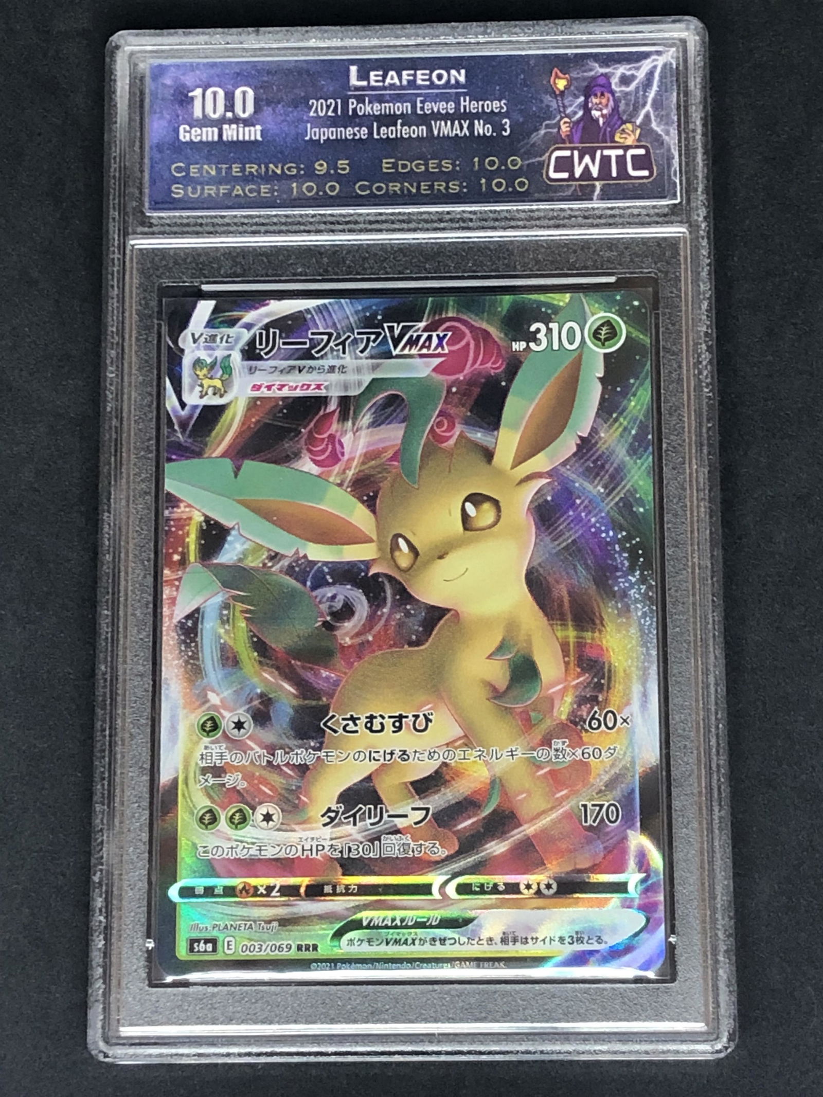Leafeon VMAX Full Art CWTC 10 (1 of 1)