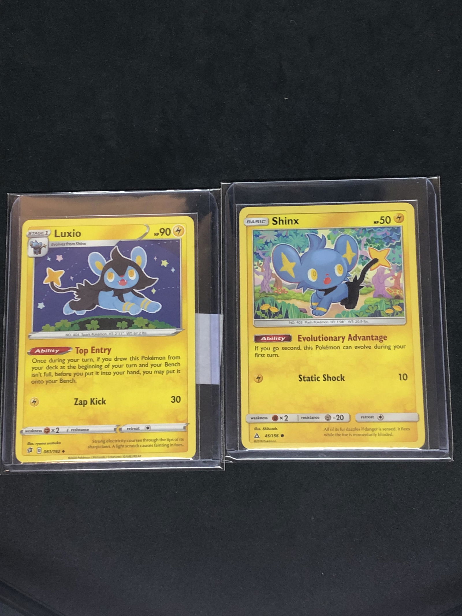 Luxio & Shinx Pokemon Cards (1 of 1)