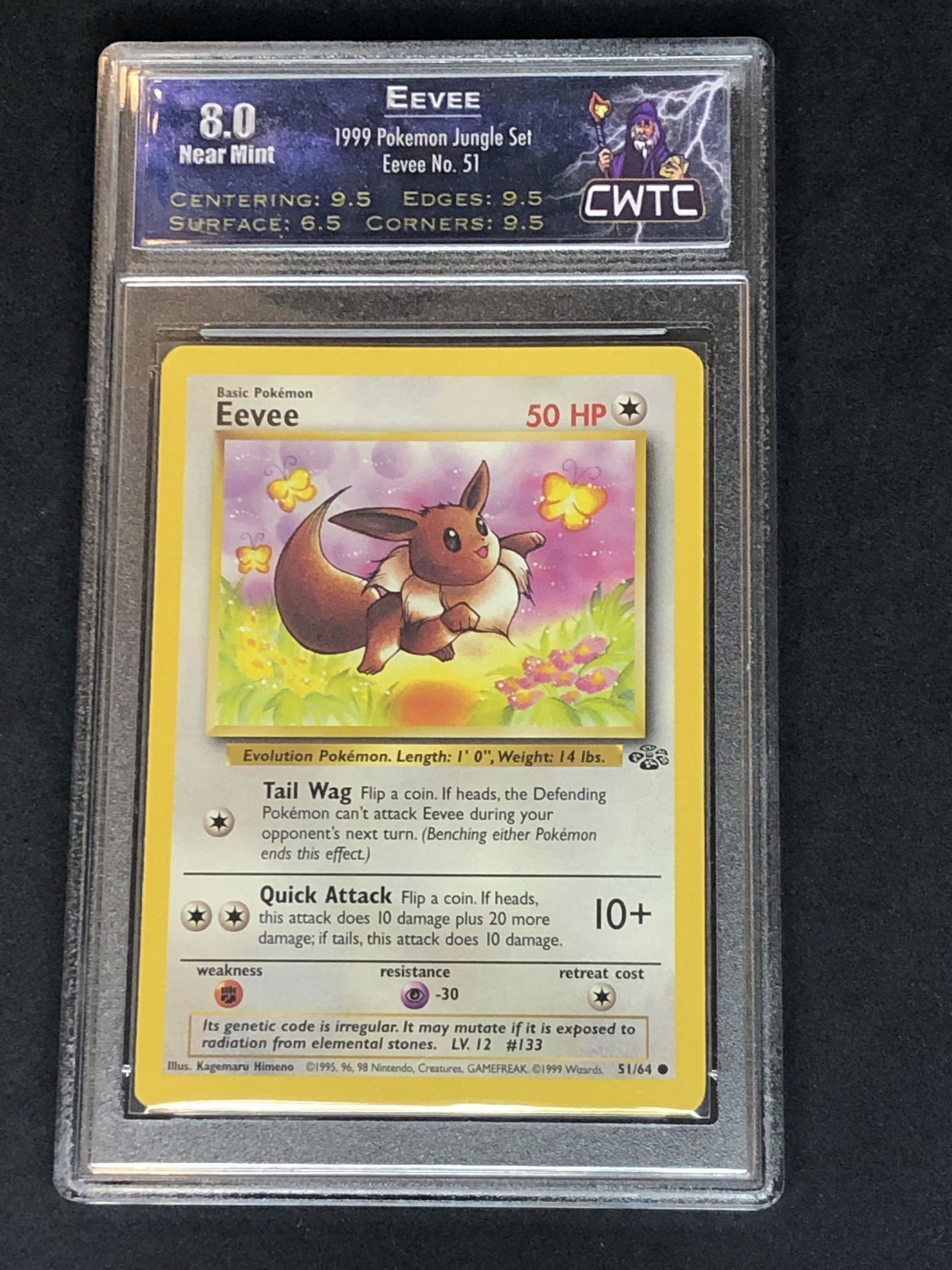 Jungle Set Eevee CWTC 8 (1 of 1)