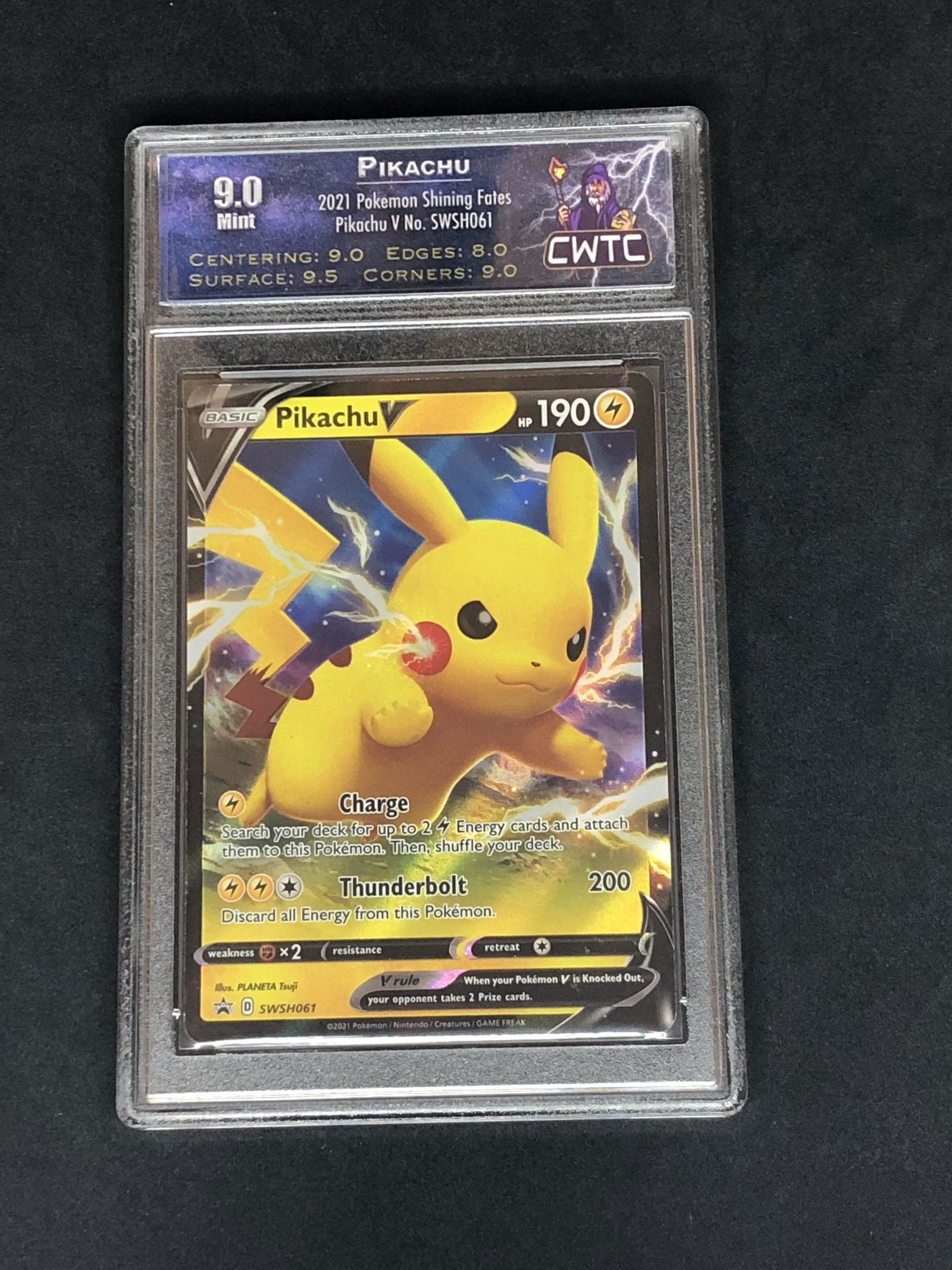 Pikachu V CWTC 9 (1 of 1)