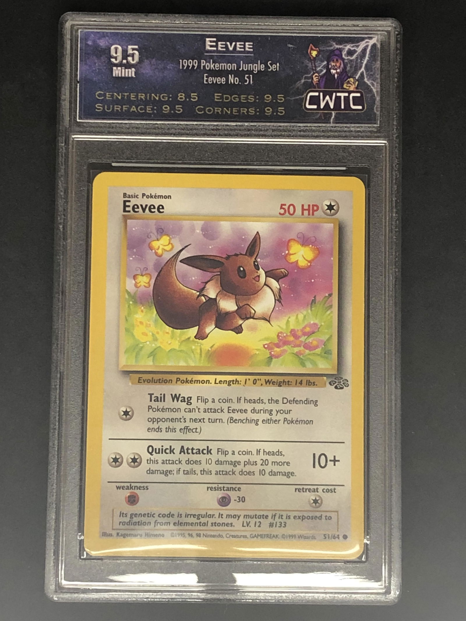 Jungle Set Eevee CWTC 9.5 (1 of 1)
