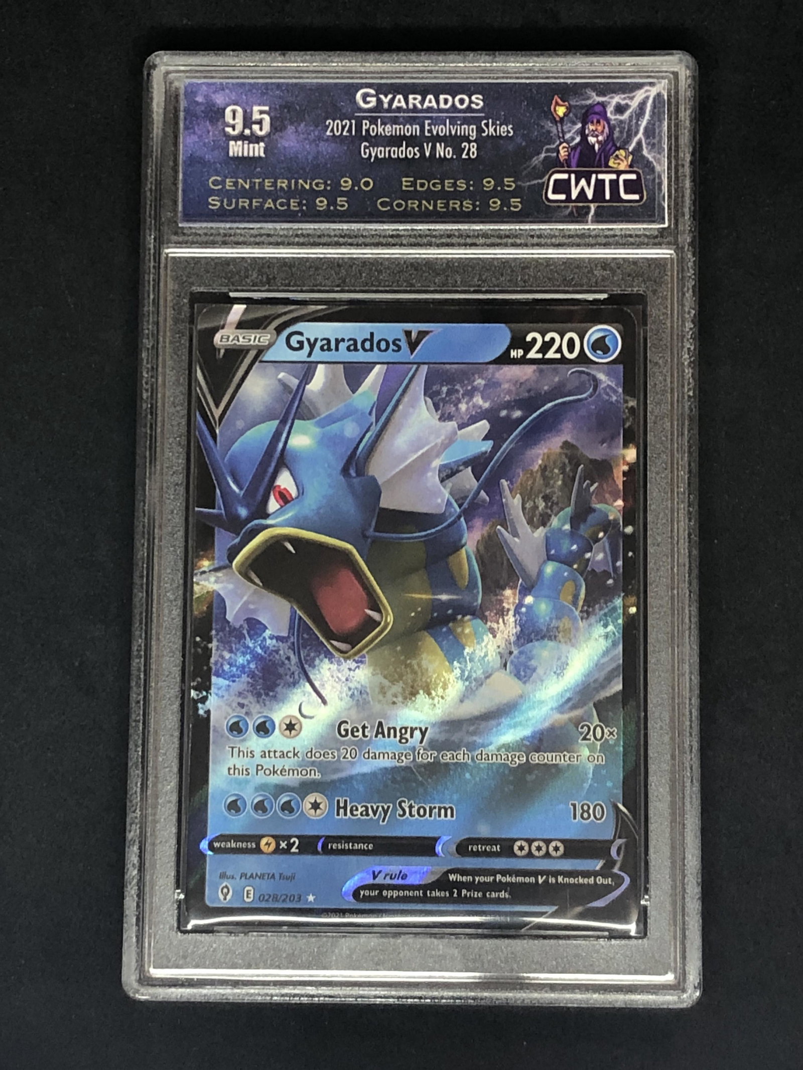 Gyarados V CWTC 9.5 (1 of 1)