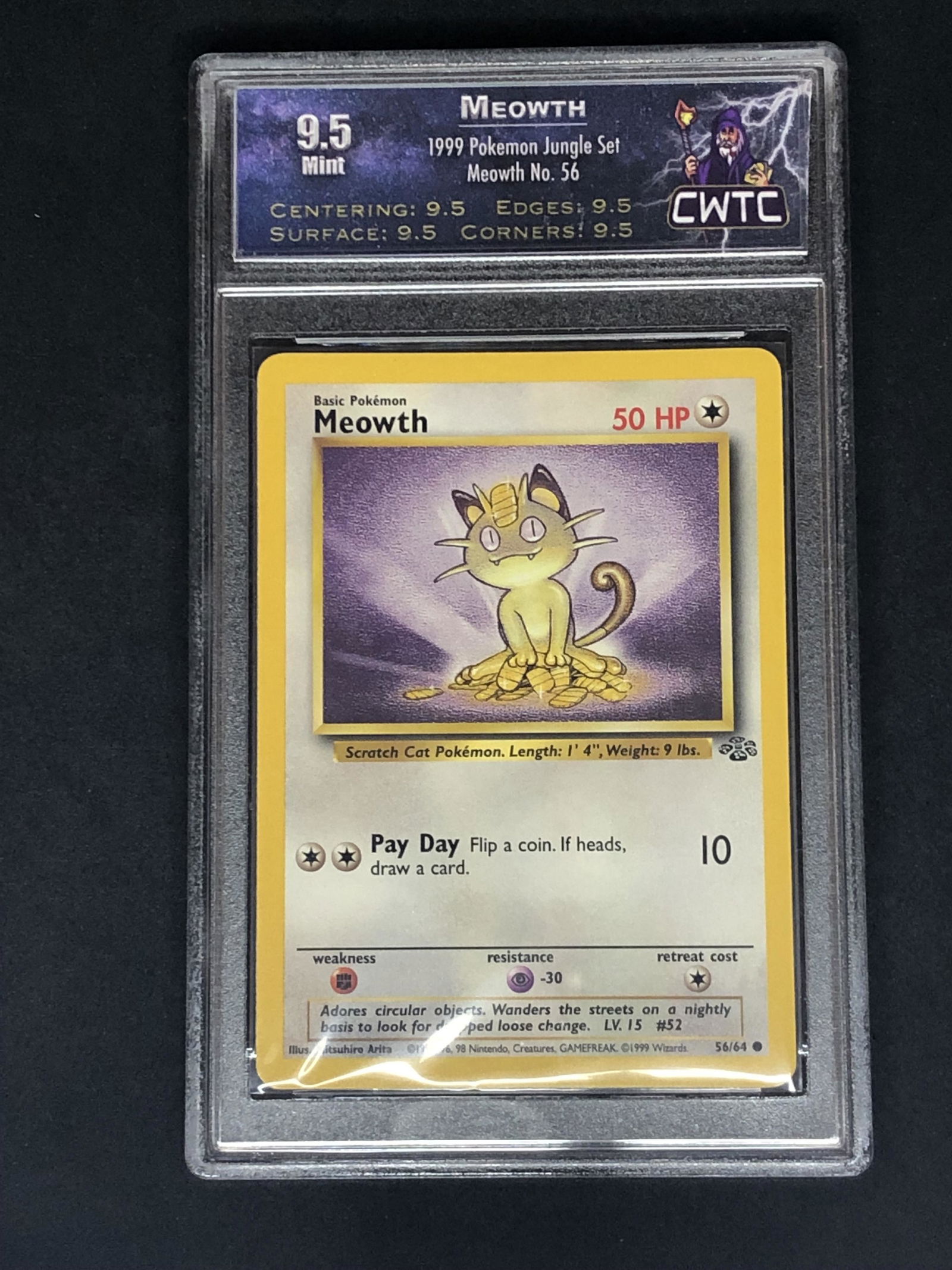 Meowth Jungle Set CWTC 9.5 (1 of 1)
