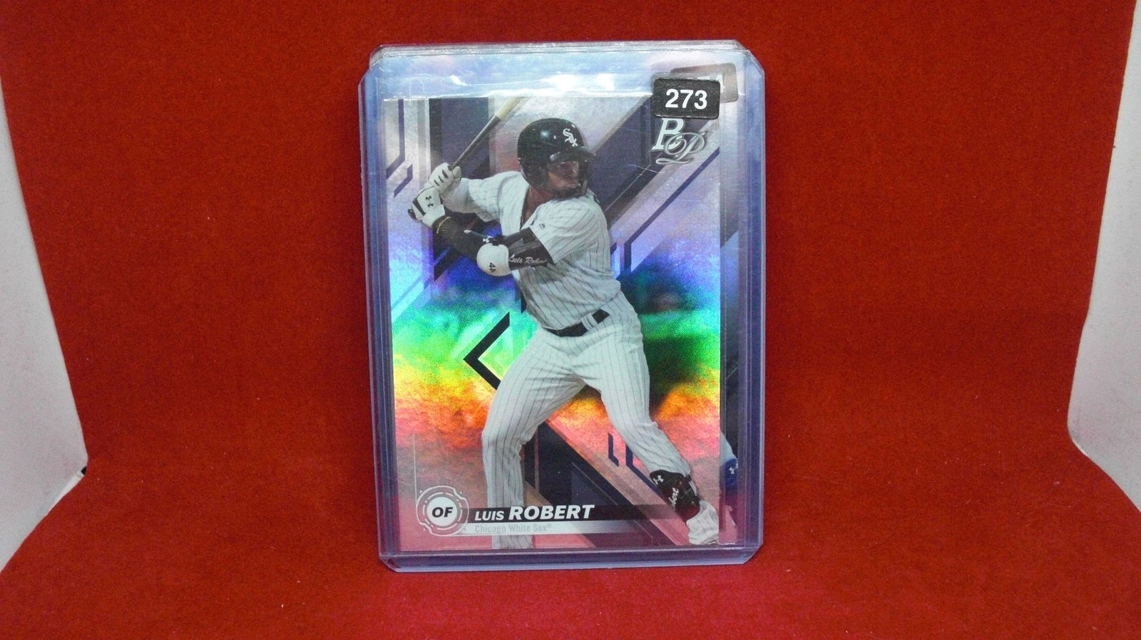 luis robert bowman platinum (1 of 1)