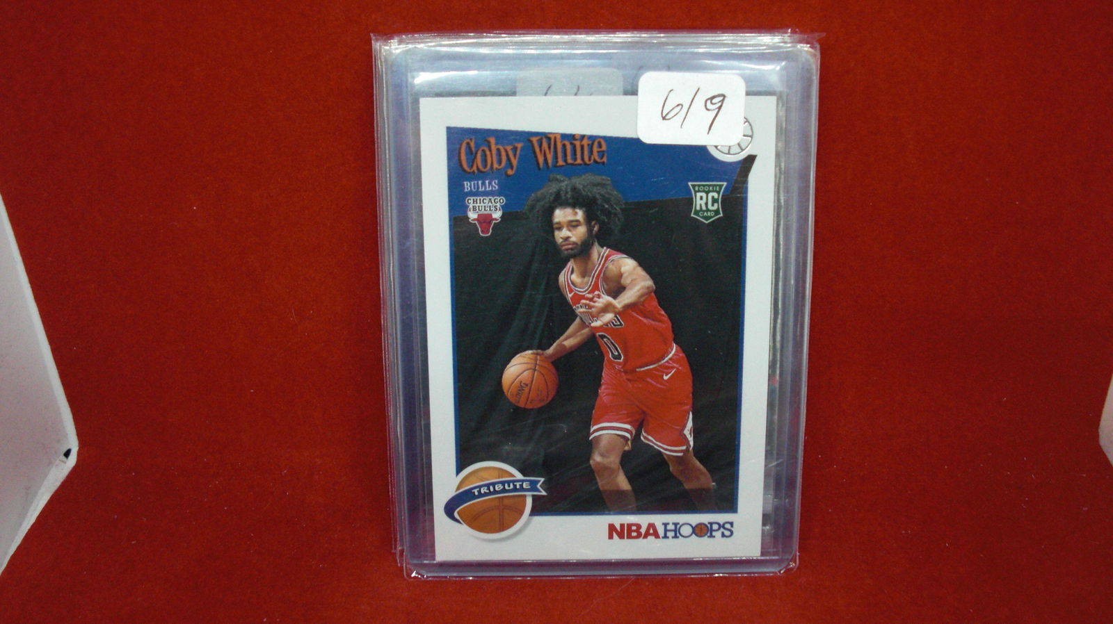 coby white nba hoops coby white (1 of 1)