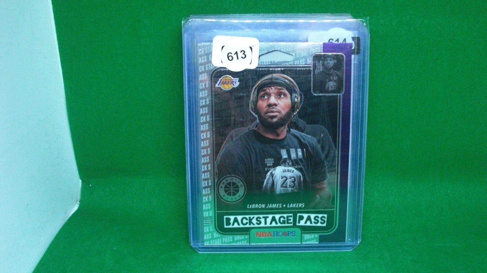 lebron james backstage pass (1 of 1)